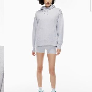 Aritzia Gray Oversized Long Sleeve Hoodie